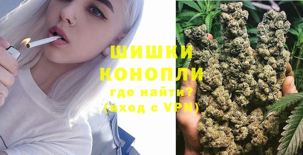 шишки Алзамай