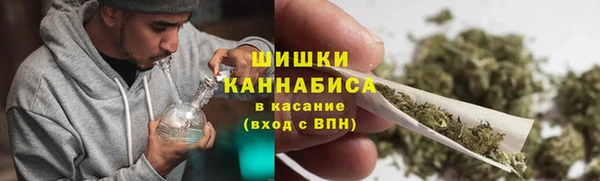шишки Алзамай