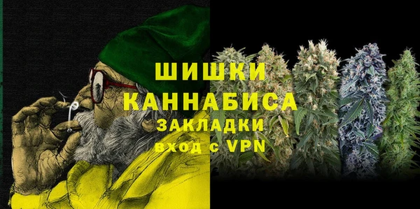 шишки Алзамай