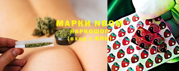 шишки Алзамай